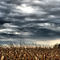Fall Storm