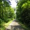 Nickle Plate Rail Trail