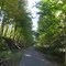 Nickle Plate Rail Trail
