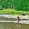 Along the Mississinewa River