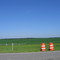 Open Field