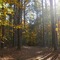 Fall 2008, Riverbend Park, Catwba County, NC