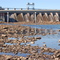 Catawba River at Riverbend Park