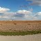 Harvest