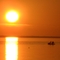 fishermen at sun set. cecil's dock NC