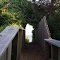 a narrow view