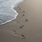 footprints in the sand