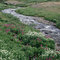 Red River