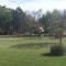 Tranquility Playground