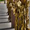 HVCornStalks