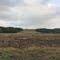 Farmland