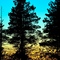 Sunset in Garrett Mountain