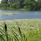 Lake Wawayanda