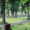 Schenevus Graveyard