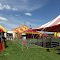 Circus day at the stables in Warsaw NY.