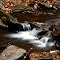 Stony Creek