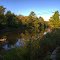 Ducks on the Walloomsac