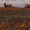 Farm And Field