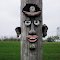 Pole Face