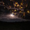 moon in utica