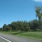 Trees near Utica