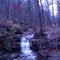 Madison Creek along Dunn Road