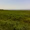FLT I1 10.1 mi - View to SW across Seneca Lake