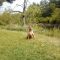 Bruce at Foxkill Creek