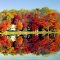 Briscoe Lake