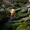 Refreshing pause on a long, dry trail