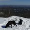 Ashokan High Point