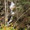 Peekamoose Road Waterfall (~100')