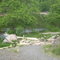 Fishing on the Walkill river.