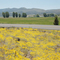 Poe Valley, Oregon sunshine