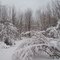 Snowy trail