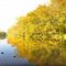 Olentangy River