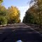 Leaving McLeansboro South On Rt. #142...Watching The Trees Change Color.......(1622394350)