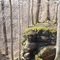 Trees on outcrop - Chapin Forest