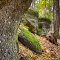The Ages at Chapin Ledges