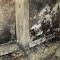 flood damage cleanup and repair