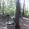 picnic area 14 - creepy