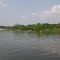 Griggs City Park