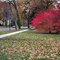 chicago,nov.97