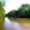 Des Plaines River near North Ave Dam