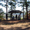Point o' the Pines