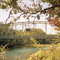 2007_10-27_Ellerville Oklahoma_1928 Illinois River_Combs  Bridge_p50
