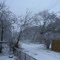winter 2010