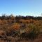 Black Kettle National Grasslands