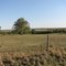 Former Reydon, OK Dairy/farm location