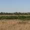 Former Reydon, OK Dairy/farm location